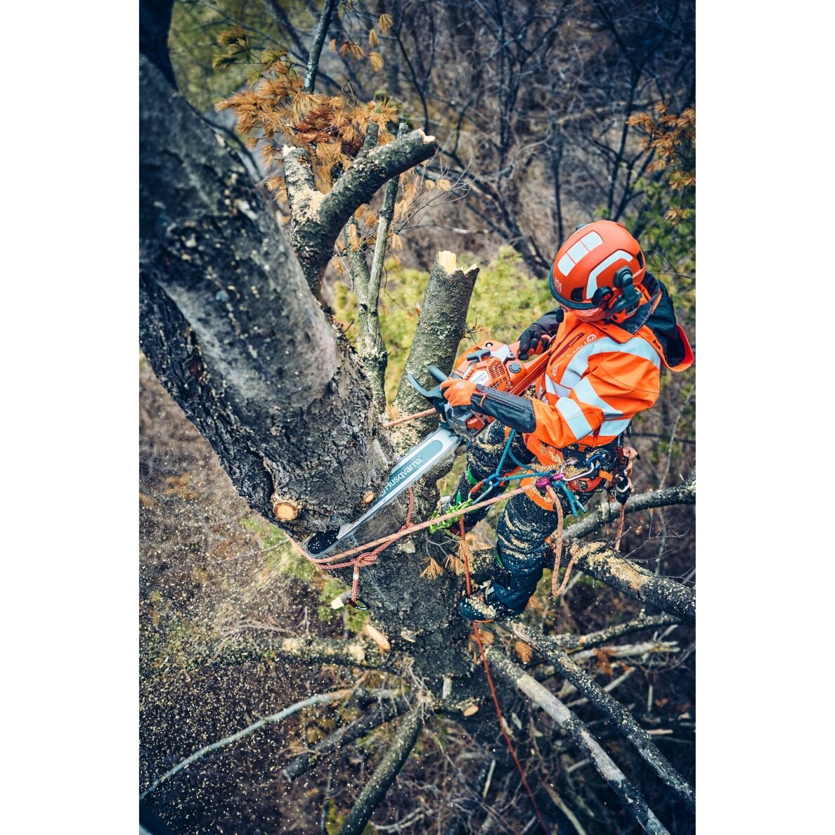 HUSQVARNA 560 XP® G Mark II 2