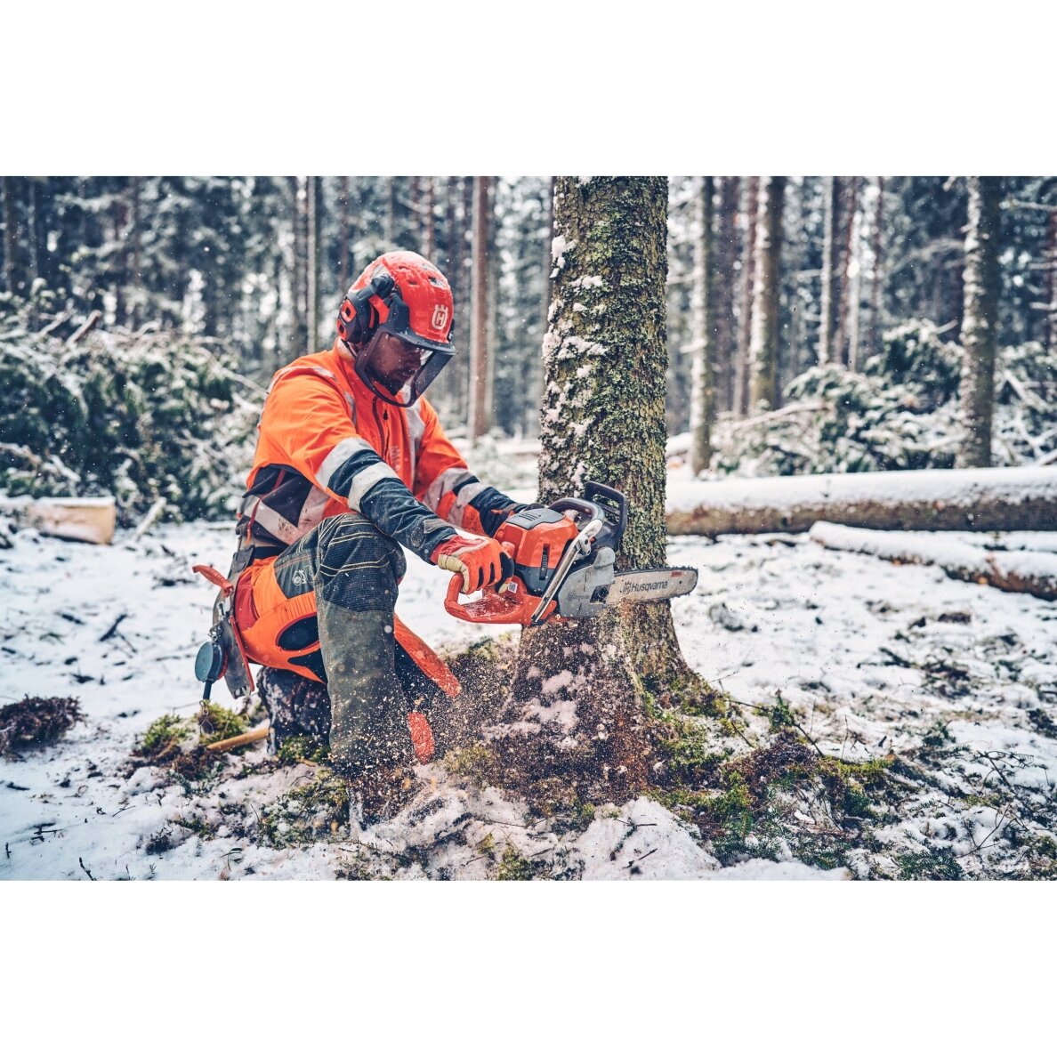HUSQVARNA 560 XP® Mark II 2